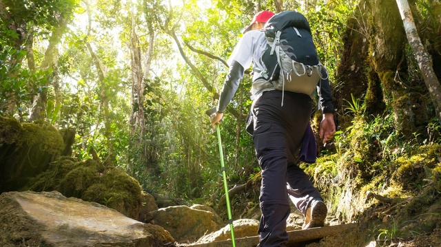 Petualangan Solo Hiking: Menjelajah Alam Sendiri dengan Tenang